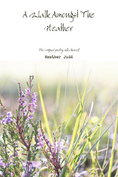 A Walk Amongst The Heather