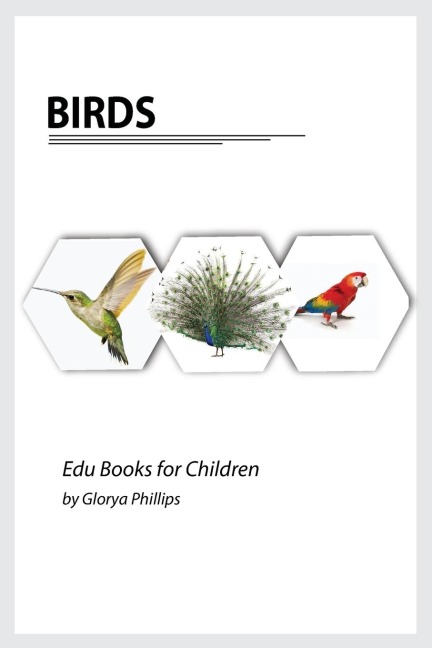 Birds: Montessori real birds book, bits of intelligence for baby and toddler, childrens book, learning resources.