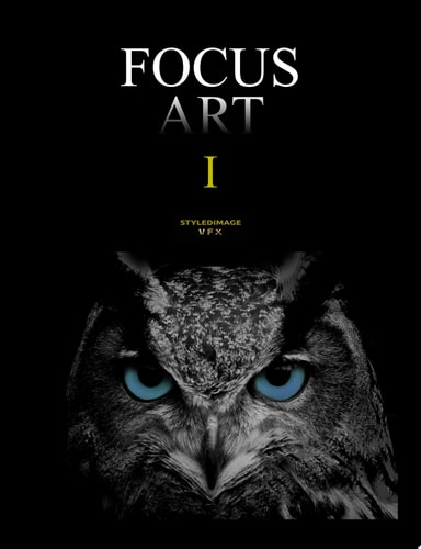 FOCUS ART 1