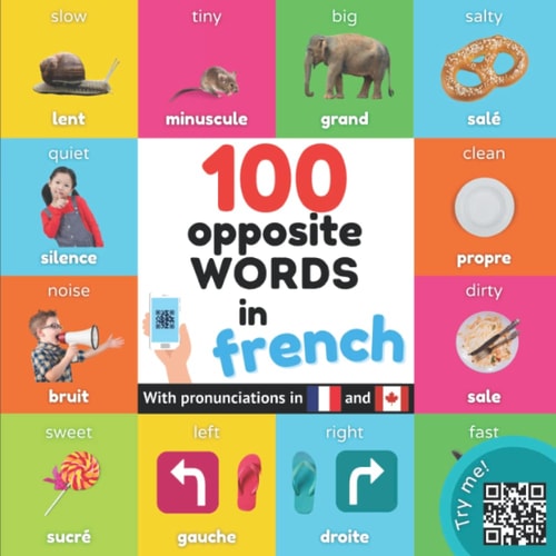 100 Opposite Words in French Bilingual Picture Book for Kids: English / French with Pronunciations