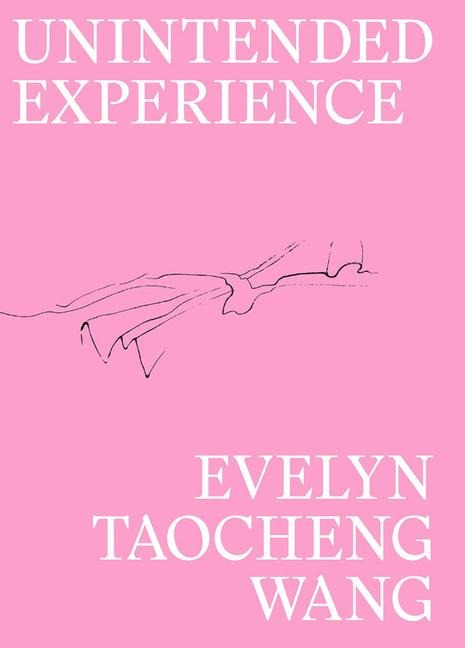 Evelyn Taocheng Wang: Unintended Experience: A Job in Amsterdam