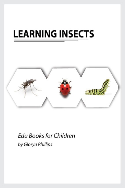 Learning Insects: Montessori real insects book for babies and toddlers, bits of intelligence for baby and toddler, childrens book, learning resources.