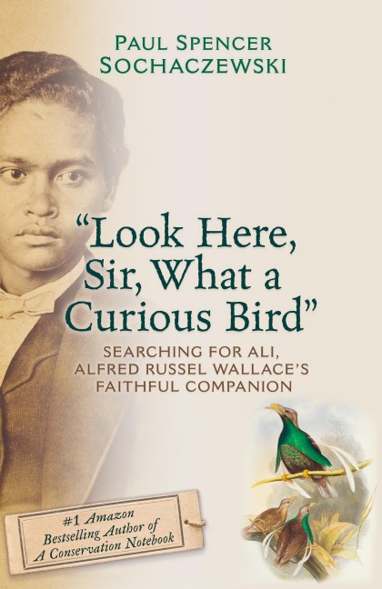 Look Here, Sir, What a Curious Bird: Searching for Ali, Alfred Russel Wallaces Faithful Companion