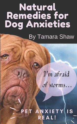Natural Remedies for Dog Anxieties