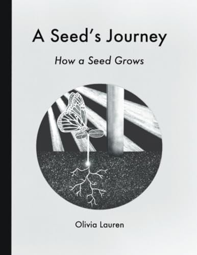 A Seed's Journey How a Seed Grows