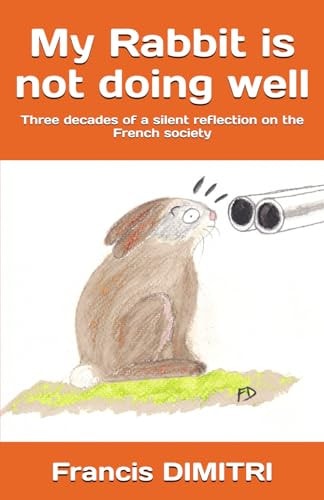 My Rabbit is Not Doing Well Three Decades of a Silent Reflection on the French Society