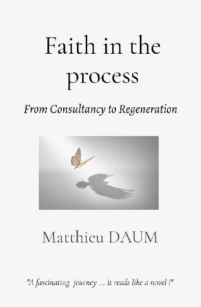 Faith in the process: From consultancy to Regeneration