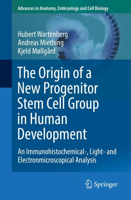 The Origin of a New Progenitor Stem Cell Group in Human Development: An Immunohistochemical-, Light- and Electronmicroscopical Analysis