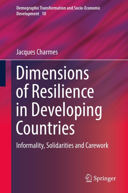 Dimensions of Resilience in Developing Countries: Informality, Solidarities and Carework