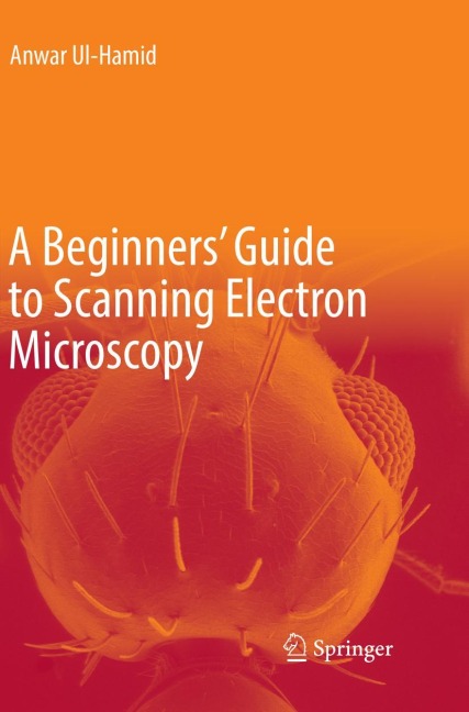 A Beginners Guide to Scanning Electron Microscopy