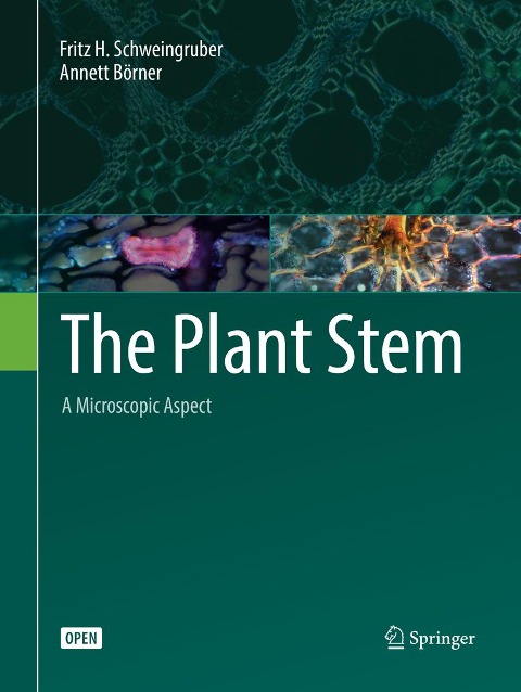 The Plant Stem: A Microscopic Aspect