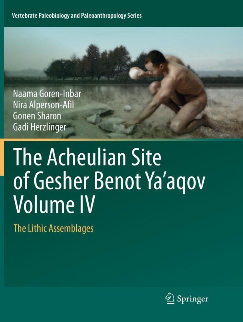 The Acheulian Site of Gesher Benot Yaaqov Volume IV: The Lithic Assemblages
