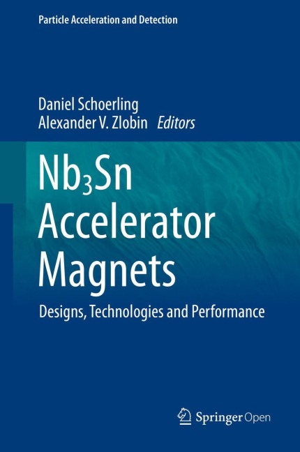 Nb3Sn Accelerator Magnets: Designs, Technologies and Performance