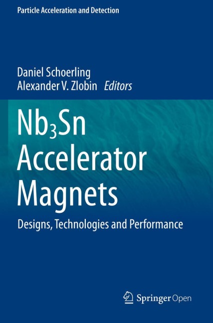 Nb3Sn Accelerator Magnets: Designs, Technologies and Performance