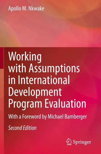Working with Assumptions in International Development Program Evaluation: With a Foreword by Michael Bamberger