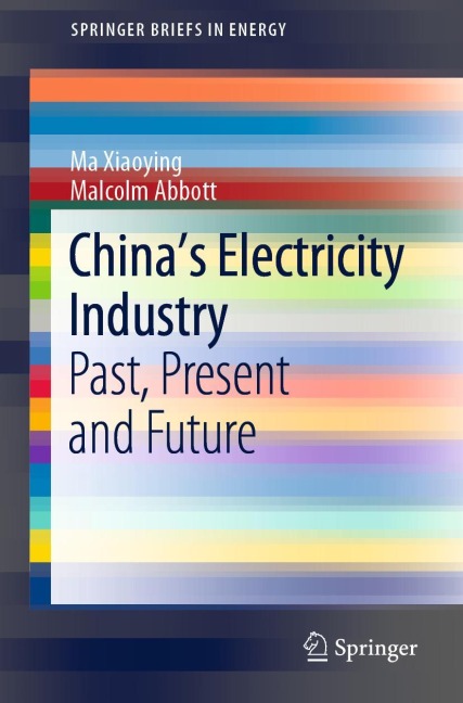 Chinas Electricity Industry: Past, Present and Future