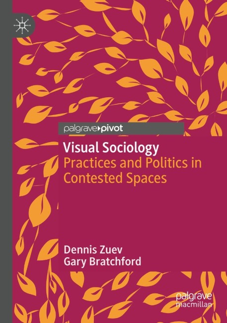 Visual Sociology: Practices and Politics in Contested Spaces