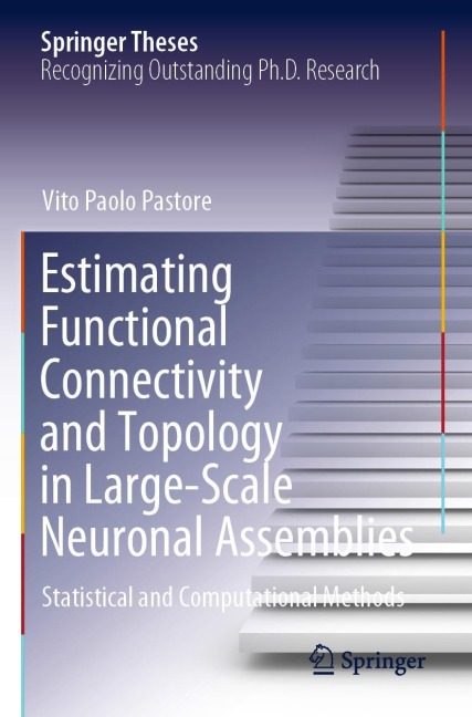 Estimating Functional Connectivity and Topology in Large-Scale Neuronal Assemblies: Statistical and Computational Methods