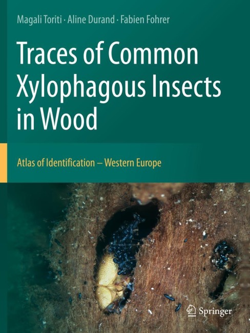 Traces of Common Xylophagous Insects in Wood: Atlas of Identification - Western Europe