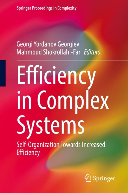 Efficiency in Complex Systems: Self-Organization Towards Increased Efficiency