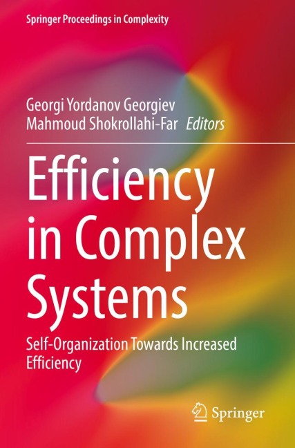 Efficiency in Complex Systems: Self-Organization Towards Increased Efficiency