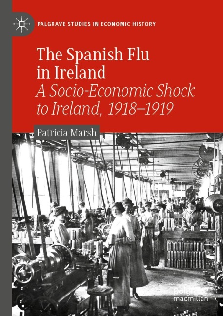 The Spanish Flu in Ireland: A Socio-Economic Shock to Ireland, 1918-1919