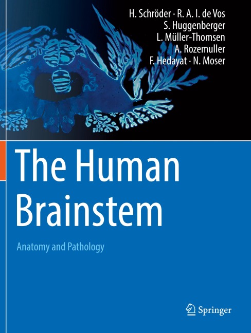 The Human Brainstem: Anatomy and Pathology