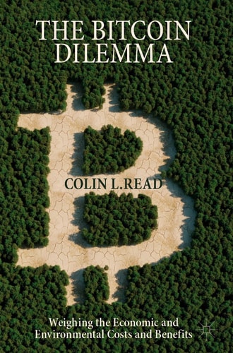 The Bitcoin Dilemma Weighing the Economic and Environmental Costs and Benefits