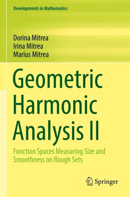 Geometric Harmonic Analysis II: Function Spaces Measuring Size and Smoothness on Rough Sets