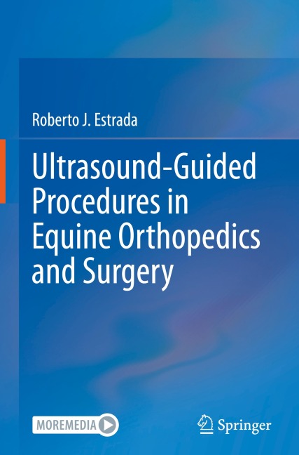 Ultrasound-Guided Procedures in Equine Orthopedics and Surgery