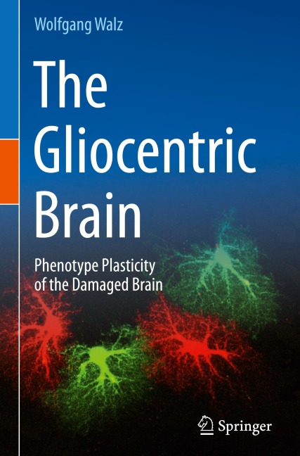 The Gliocentric Brain: Phenotype Plasticity of the Damaged Brain