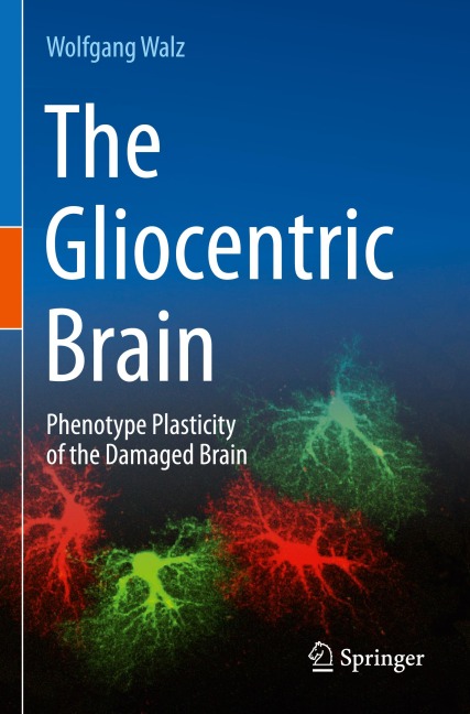 The Gliocentric Brain: Phenotype Plasticity of the Damaged Brain