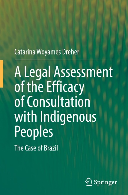 A Legal Assessment of the Efficacy of Consultation with Indigenous Peoples: The Case of Brazil