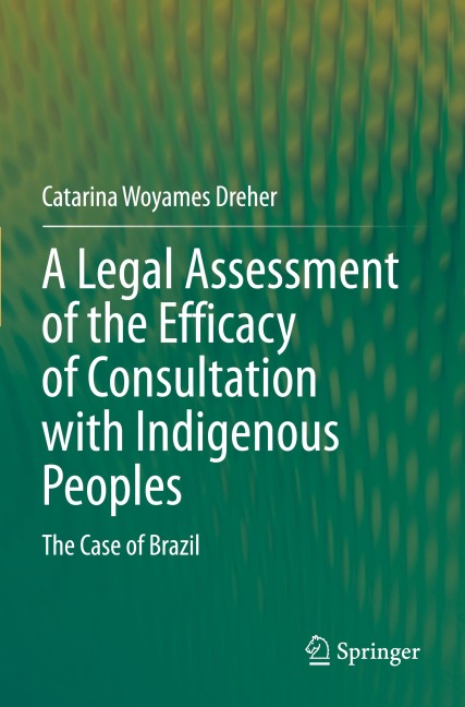 A Legal Assessment of the Efficacy of Consultation with Indigenous Peoples: The Case of Brazil