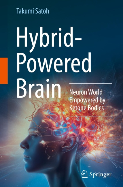 Hybrid-Powered Brain: Neuron World Empowered by Ketone Bodies