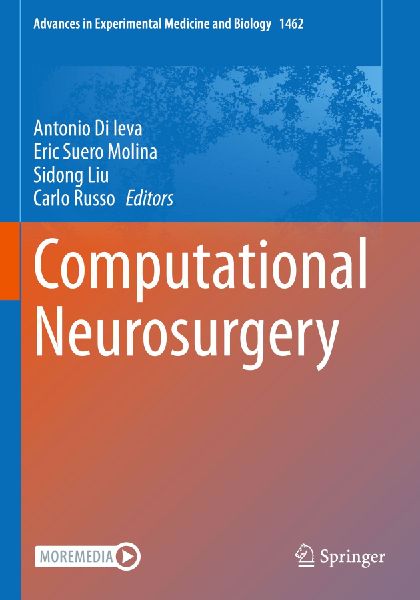 Computational Neurosurgery