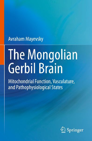 The Mongolian Gerbil Brain: Mitochondrial Function, Vasculature, and Pathophysiological States