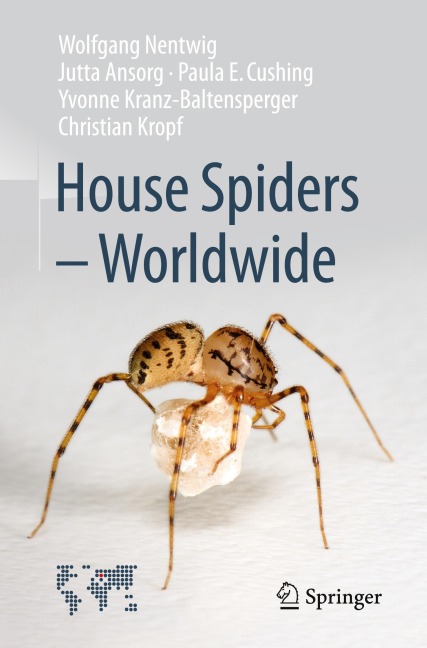 House Spiders - Worldwide