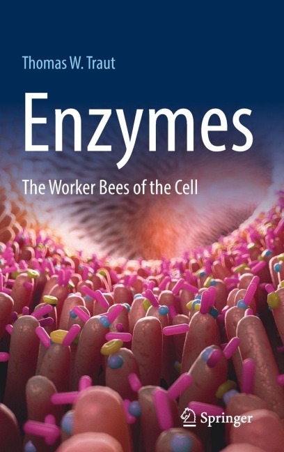 Enzymes: The Worker Bees of the Cell