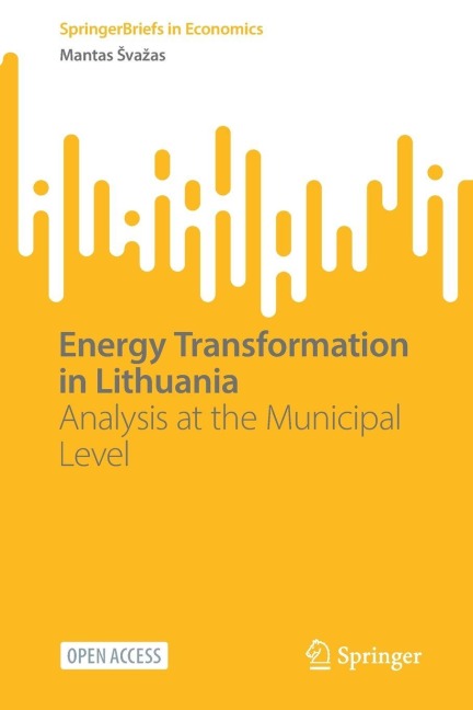 Energy Transformation in Lithuania: Analysis at the Municipal Level