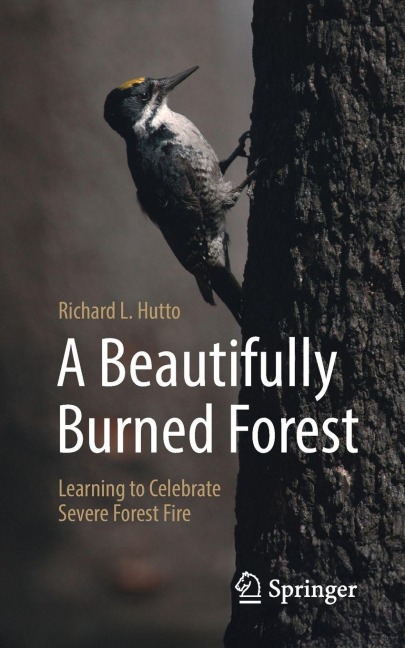A Beautifully Burned Forest: Learning to Celebrate Severe Forest Fire