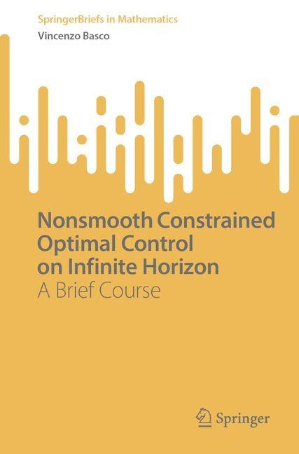 Nonsmooth Constrained Optimal Control on Infinite Horizon: A Brief Course