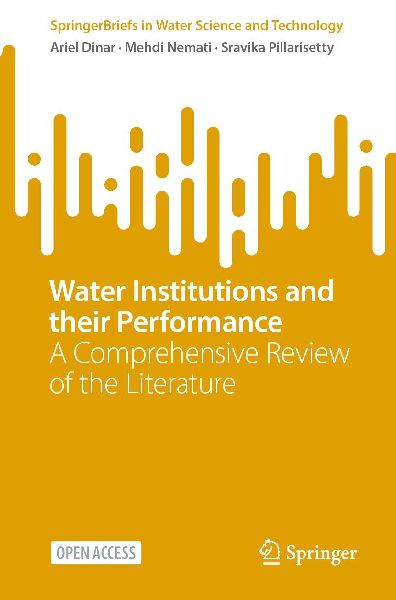 Water Institutions and their Performance: A Comprehensive Review of the Literature