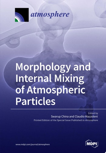 Morphology and Internal Mixing of Atmospheric Particles