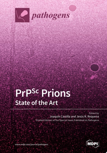 PrPSc Prions: State of the Art