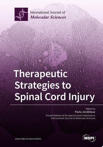 Therapeutic Strategies to Spinal Cord Injury