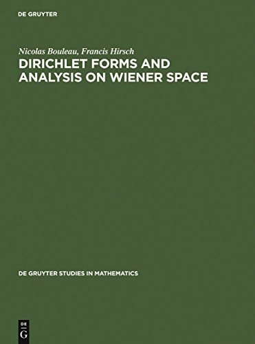 Dirichlet Forms and Analysis on Wiener Space (de Gruyter Studies in Mathematics)