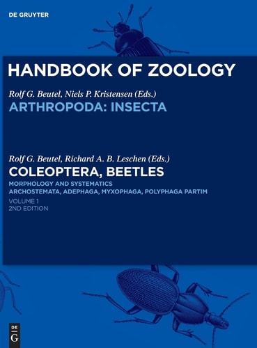 Coleoptera, Beetles