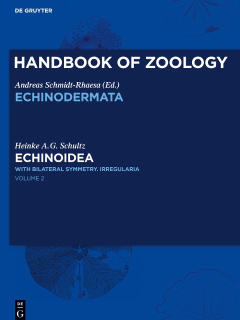 Echinoidea: with bilateral symmetry. Irregularia