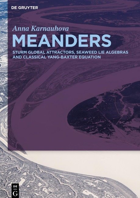 Meanders: Sturm Global Attractors, Seaweed Lie Algebras and Classical Yang-Baxter Equation